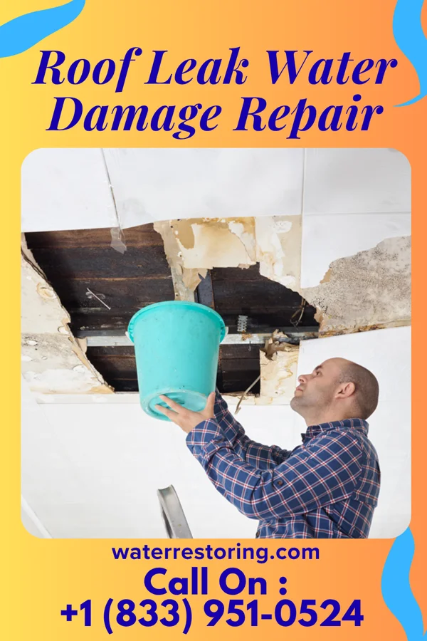 Roof Leak Water Damage Repair in Meadow, TX