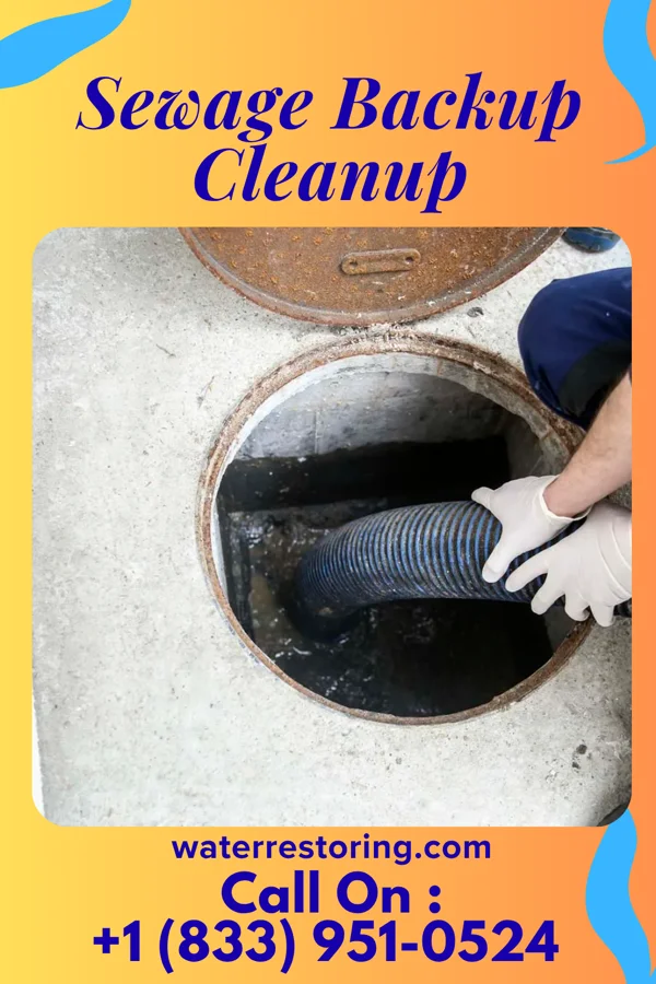 Sewage Backup Cleanup in Meadow, TX